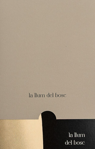 Fold-out book