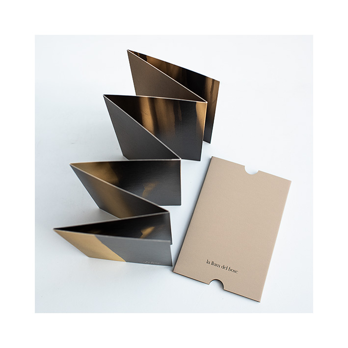 Fold-out book