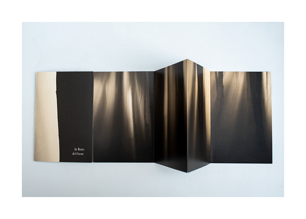 Fold-out book