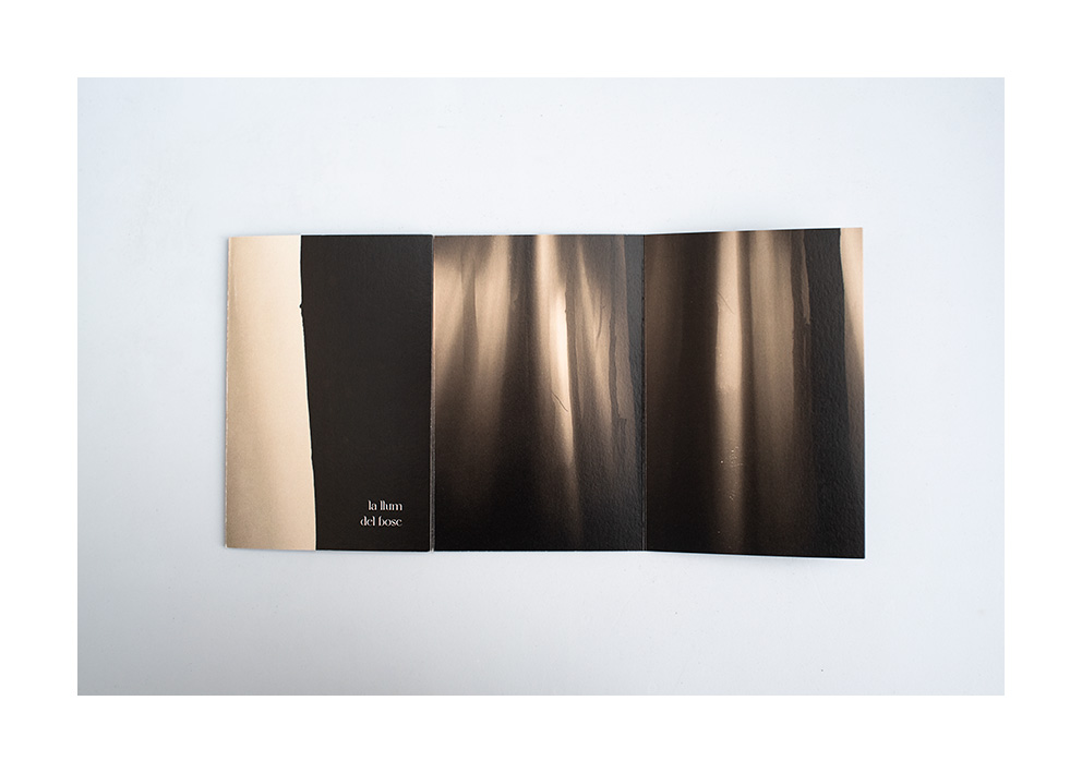 Fold-out book