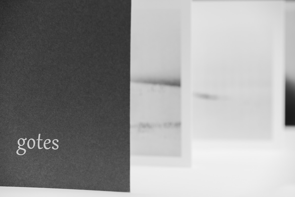 Fold-out book